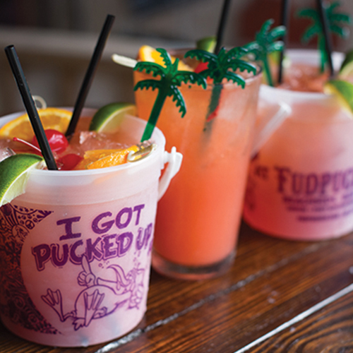 Fudpucker Solo Cups – Fudpucker's Beachside Bar & Grill